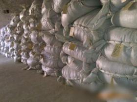 臨沂市鑫潤藥業(yè)中藥材金銀花技術(shù)轉(zhuǎn)讓項目介紹