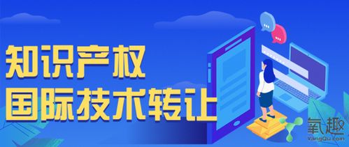 國際技術(shù)轉(zhuǎn)讓中的知識產(chǎn)權(quán) 核心紐帶與關(guān)鍵考量