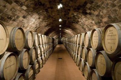 82年的拉菲為何至今仍有售？解析葡萄酒產量與市場流通的奧秘